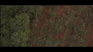 Giftvertrag EU-Mercosur - Der Mythos vom guten Handel (Folge 1)