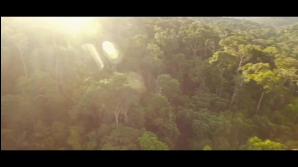 Giftvertrag EU-Mercosur - Landraub (Folge 2)