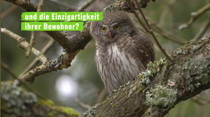 Artenvielfalt in Gefahr - Schütze, was du liebst!