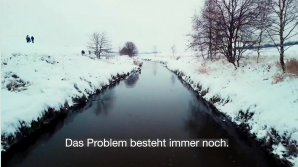 Massenhaftes Fischsterben in der Oder - Greenpeace-Expert_innen auf der Suche nach den Ursachen