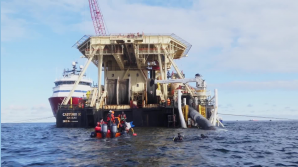 Protest unter Wasser